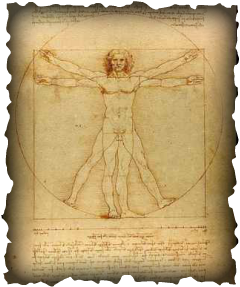 Leonard de Vinci_homme de Vetruve