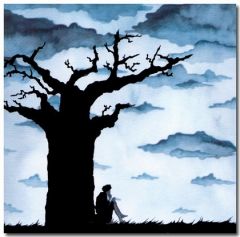 IZZI Soizic - Les ombres - Le baobab