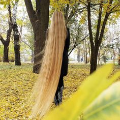 Femme-cheveux-pieds-blonde-arbres
