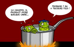 Grenouille-casserole eau chaude-https://le-voyage-intuition.com/tag/la-grenouille-qui-ne-savait-pas-quelle-etait-cuite/