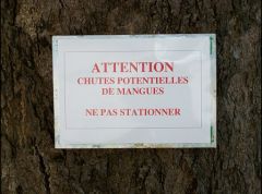 Mangues_attention_http://chosesetautres.over-blog.com/photo-1311303-100_8485_JPG.html
