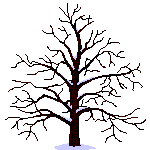 arbre_4_saisons_gif