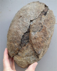 pierre érodée-https://www.geoforum.fr/topic/43324-pierre-ovale/