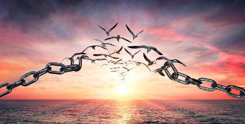 PARDON-Liberation-https://media.istockphoto.com/photos/on-the-wings-of-freedom-birds-flying-and-broken-chains-charge-concept-picture-id1141549703?k=20&m=1141549703&s=612x612&w=0&h=qpZfQxNWqTmxrmwmEq3VAW1c6XLMaqZI1ut3IfnsI_Q=